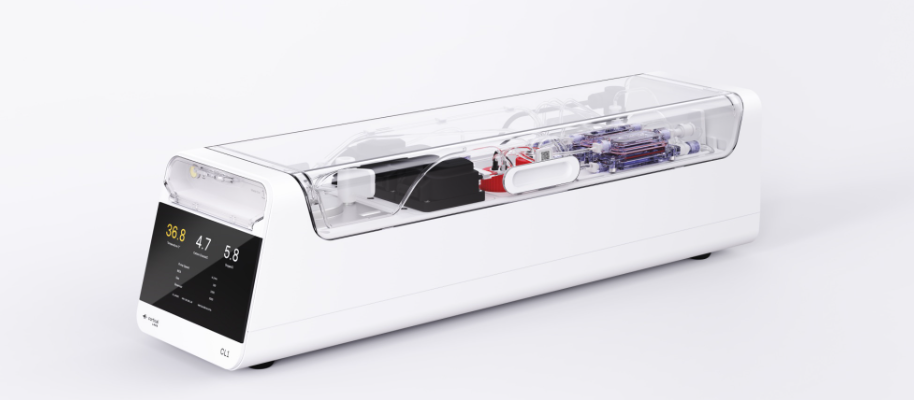Des neurones humains dans un ordinateur : la révolution Cortical Labs