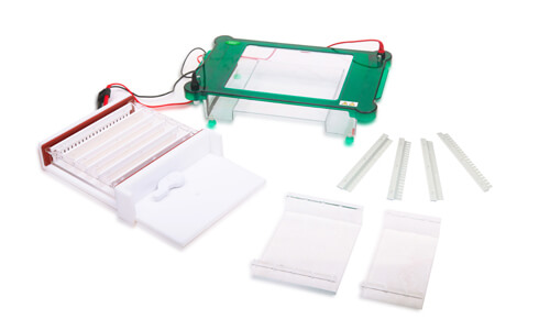 Adaptations de l'électrophorèse horizontale YR03420 dans les secteurs chimique, industriel, alimentaire, vétérinaire et éducatif