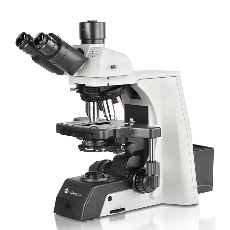 Pourquoi les microscopes optiques sont-ils généralement utilisés pour l'étude de petits objets ?