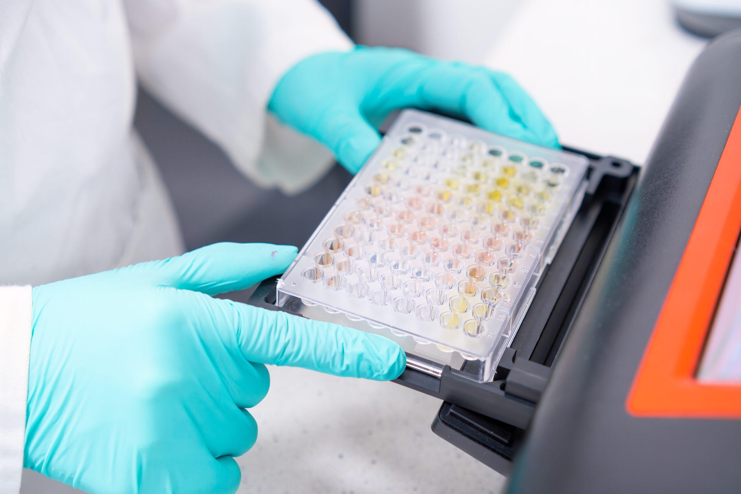 Optimiser vos expériences avec le lecteur de microplaques ELISA de laboratoire : applications scientifiques
