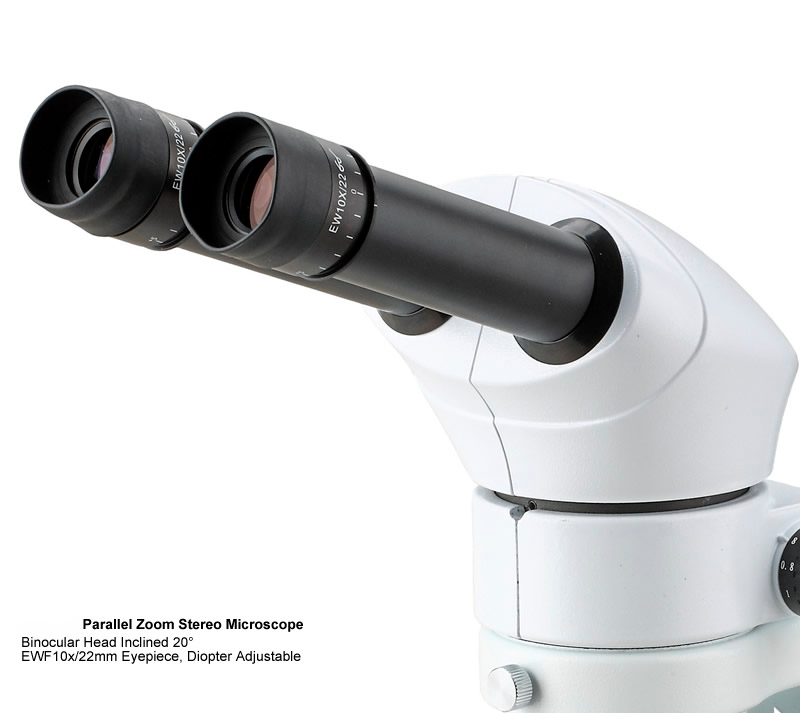 Microscope Stéréoscopie à zoom YR0246 // YR0248 – 1