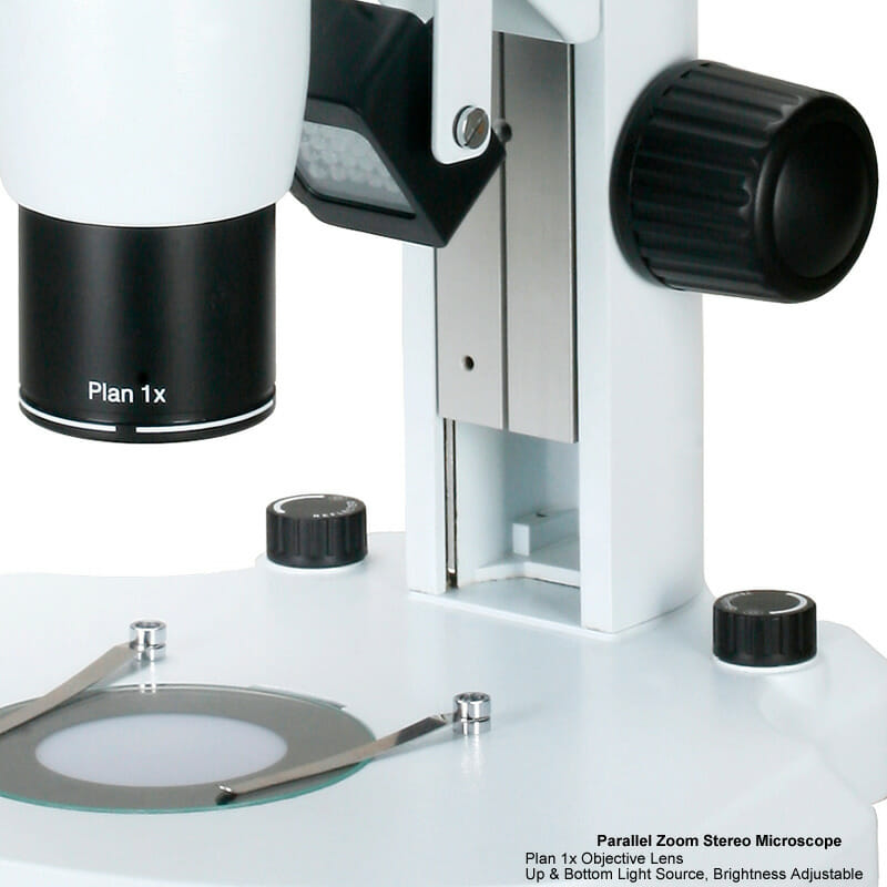 Microscope Stéréoscopie à zoom YR0246 // YR0248 – 2