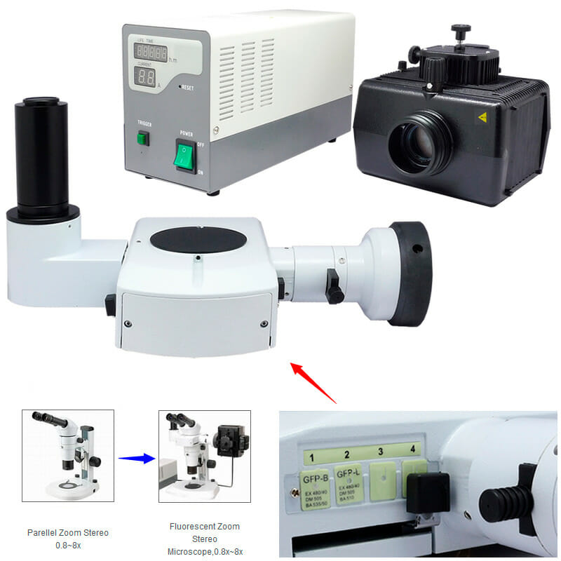 Microscope Stéréoscopie à zoom YR0246 // YR0248 – 5