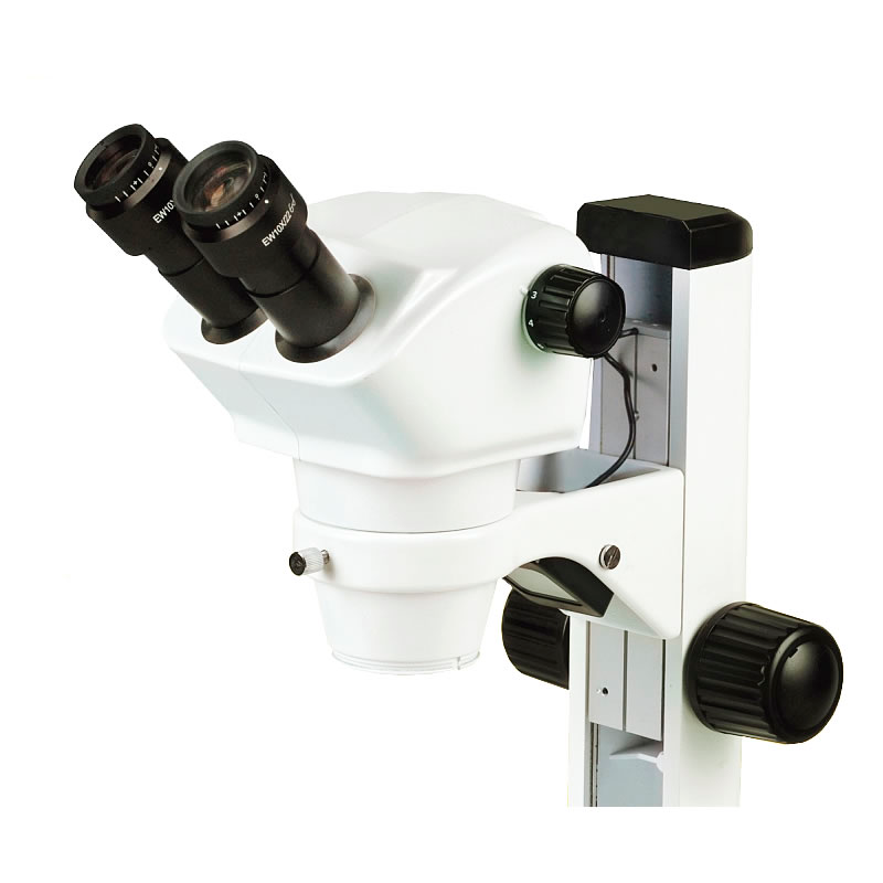 Plan d'infini binoculaire de microscope biologique de laboratoire YR05787 - YR05788 – 1