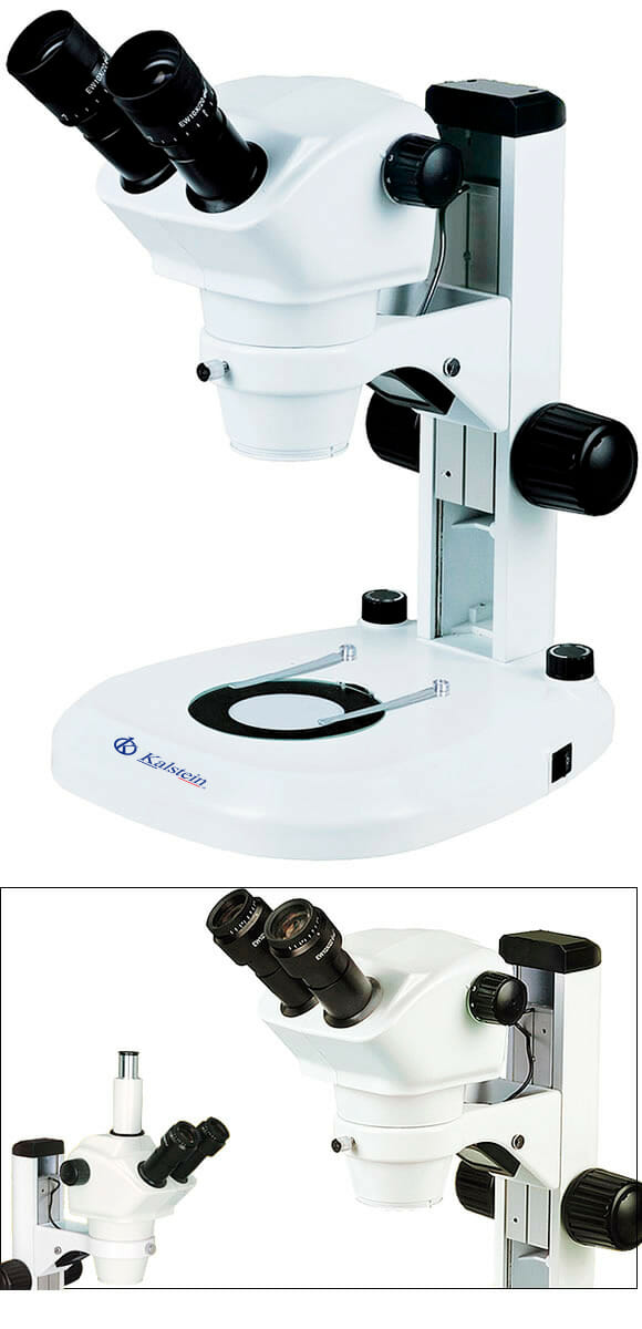 Plan d'infini binoculaire de microscope biologique de laboratoire YR05787 - YR05788 – 2