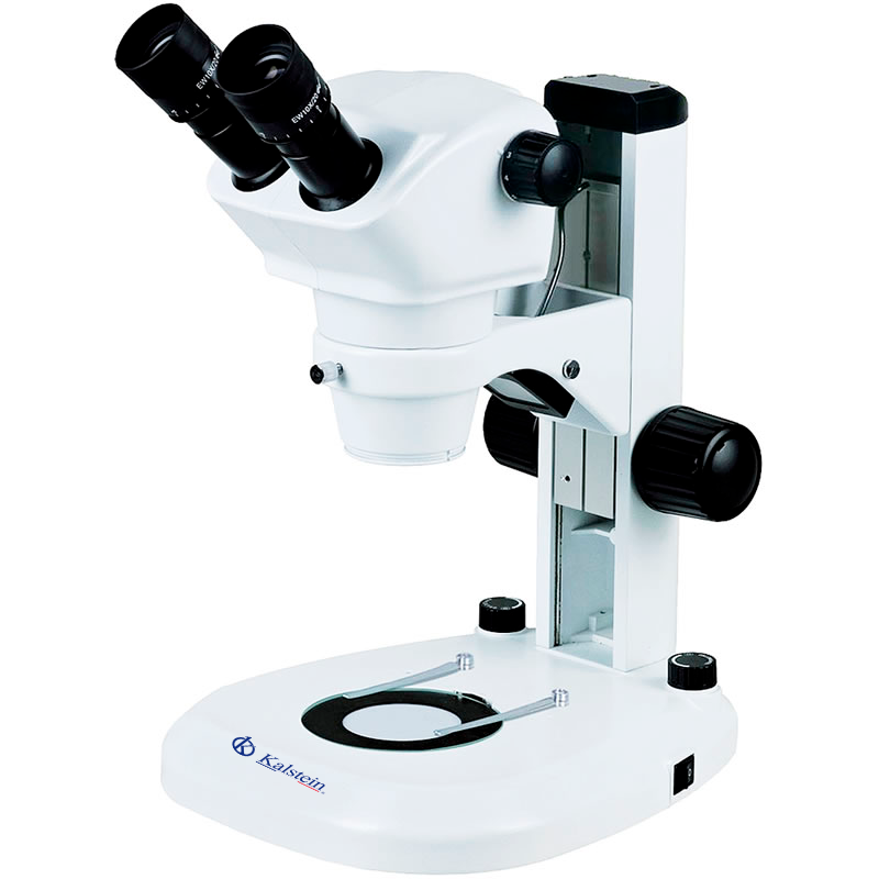 Plan d'infini binoculaire de microscope biologique de laboratoire YR05787 - YR05788
