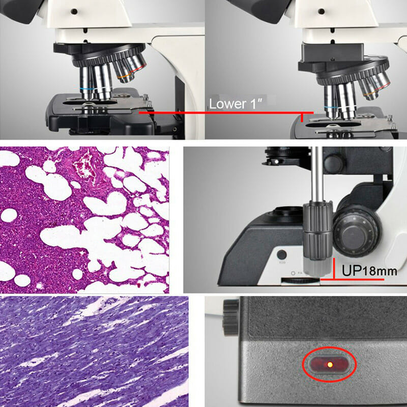 Microscope de laboratoire halogène manuel YR0266A // YR0266C – 7