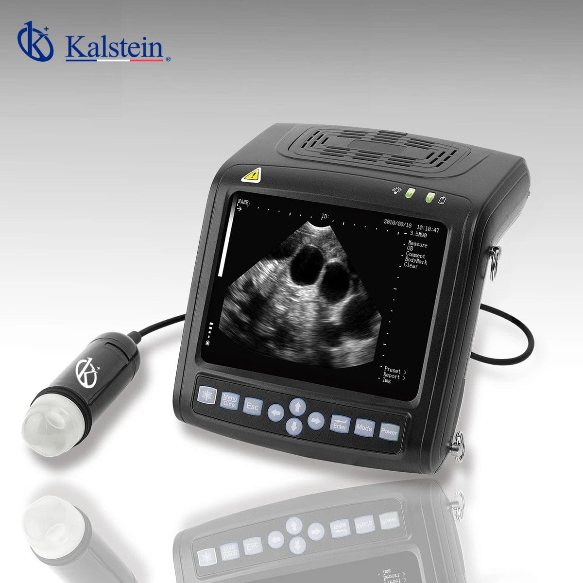 Les Ultrasonographies Vétérinaires : Une Révolution Santé Signée Kalstein
