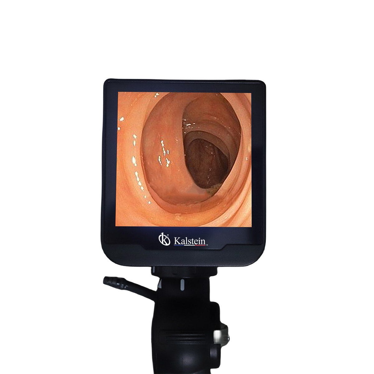 Les Avancées des Vidéos Endoscopes Vétérinaires pour la Santé Animale