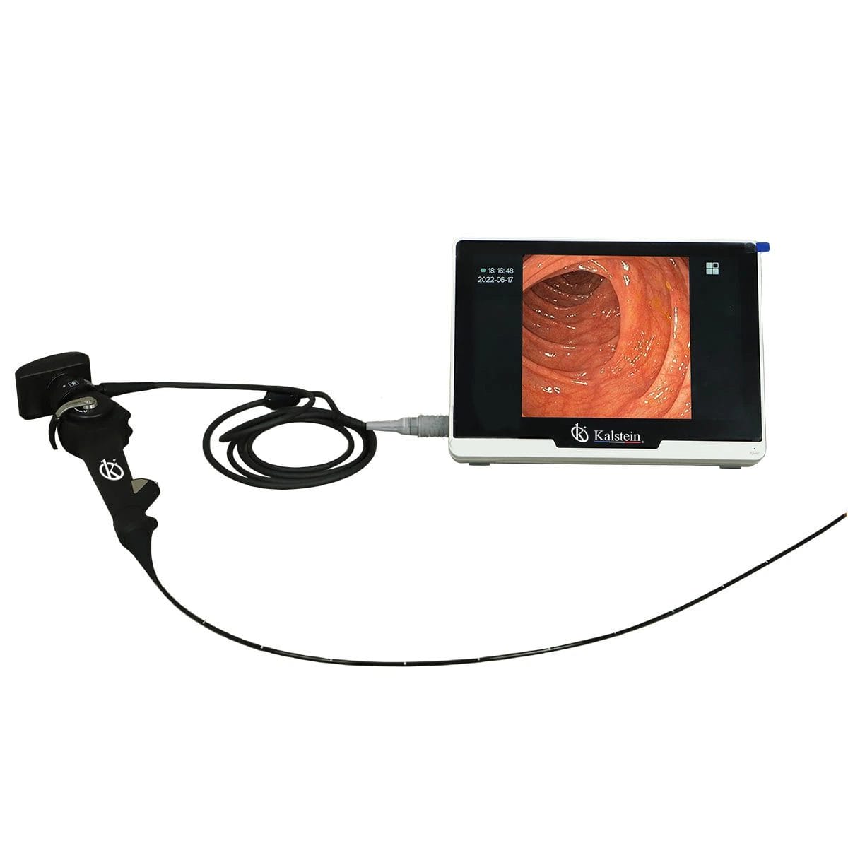 Examinant la révolution sanitaire: l'Endoscope Vidéo Vétérinaire Kalstein