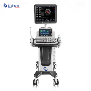 Doppler couleur vétérinaire - Diagnostics cardiovasculaires précis et rapides