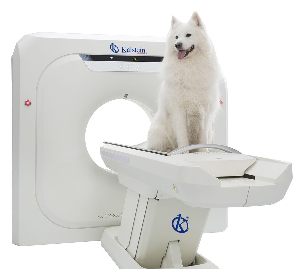 Découvrez le Scanner CT Vétérinaire: Technologie Innovante pour le Bien-être Animal
