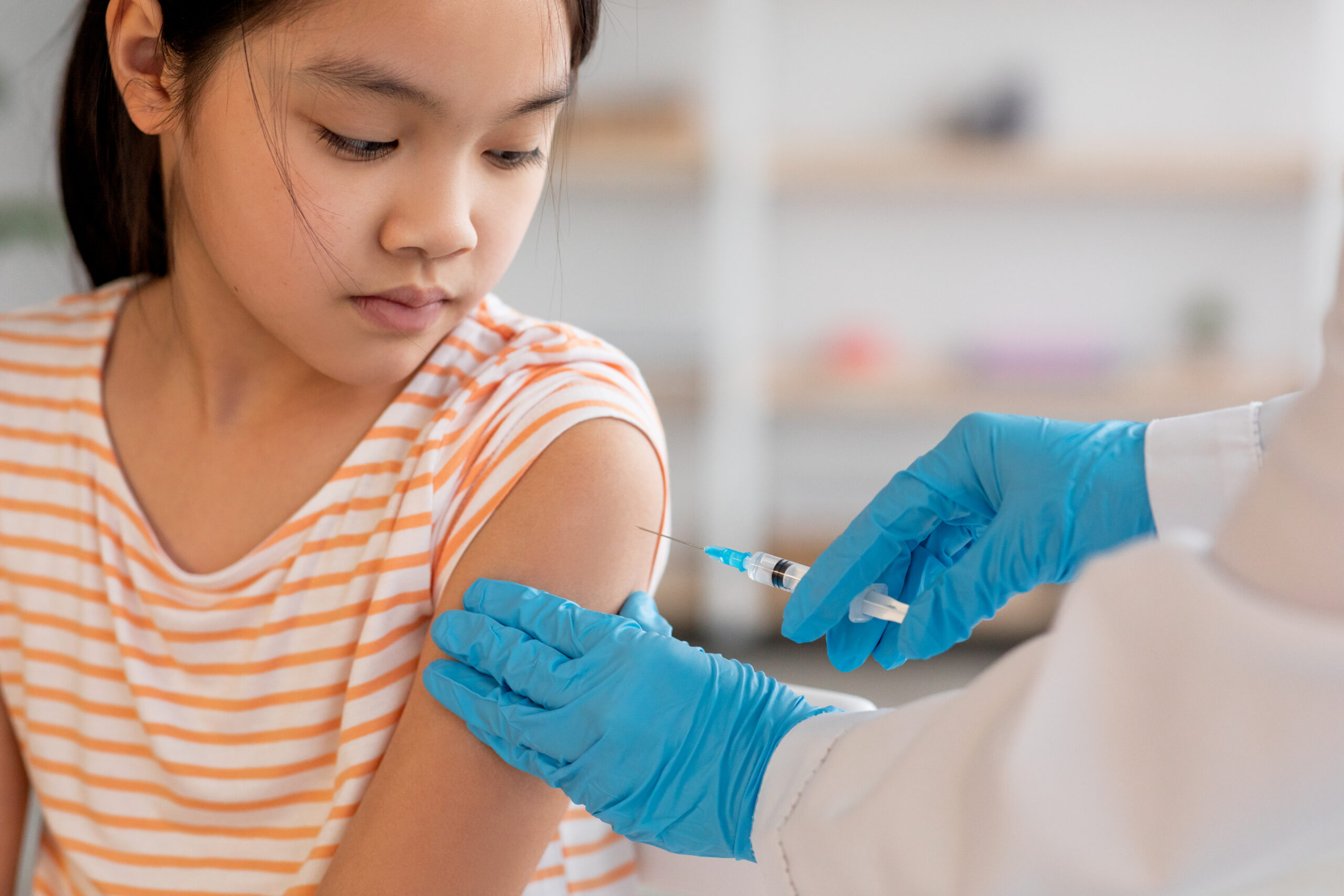 Fièvre Catarrhale Ovine : Vaccination Gratuite Estendue à Toute la France