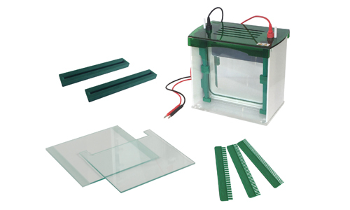Cellule d'électrophorèse sur gel vertical YR03429