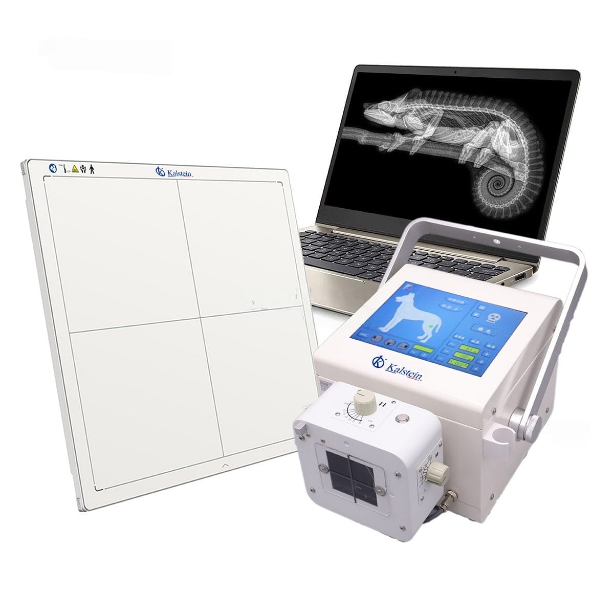 Explorez l'Innovation des Rayons X Vétérinaires avec Kalstein