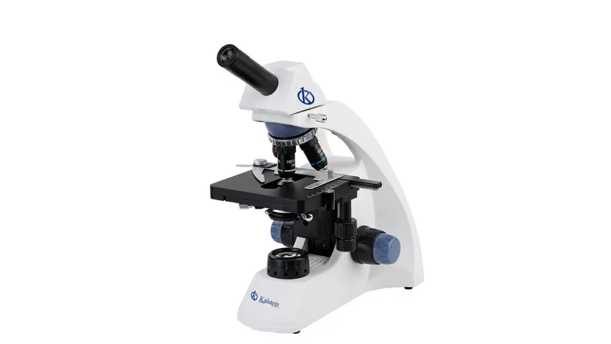 Microscope Binoculaire YR0242-B : Performance Technique et Sécurité